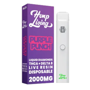 Purple Punch Vape In Pakistan