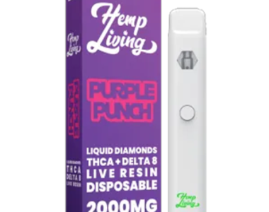 Purple Punch Vape In Pakistan