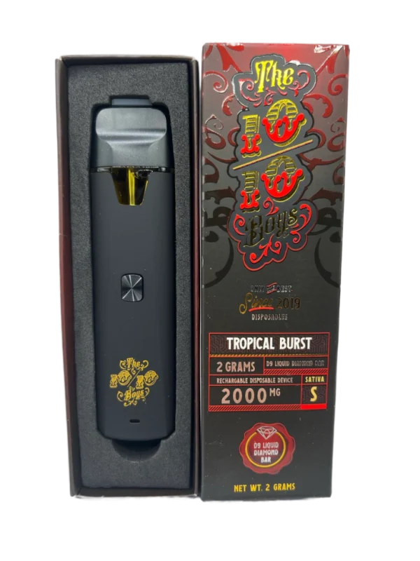 The 10/10 Boys Disposable THC Vape 2G In Pakistan